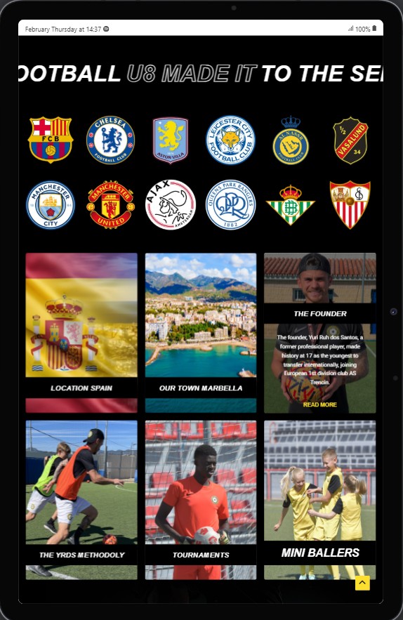 Professional web development with optimized responsiveness for tablets and larger devices.