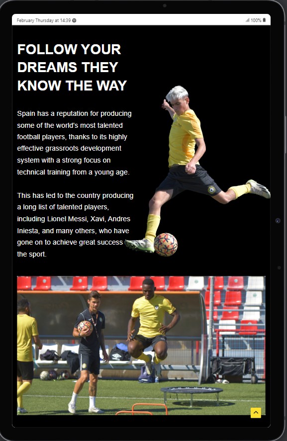 Professional web development with optimized responsiveness for tablets and larger devices.